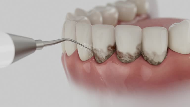 Reliable Dental contractor in Montezuma, GA by Dentist Open Now